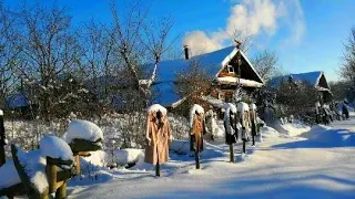Котики в Закатове стойко переживают зиму))❄🏞❄⛄😱🗿🏡🐱😸😸❄⛄