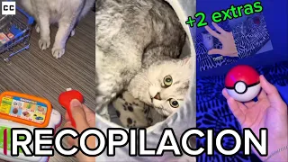 ✨Recopilacion DeksyTheCat / Fandub Español (ACTIVAR SUBTITULOS)