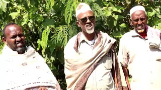Beesha Magaadle oo iska fogaysay eedo uga yimi beel kale