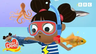 Fishy Friends 🐠 | Yakka Dee!