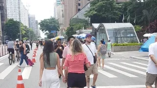 Av.Paulista - Funny Pet World