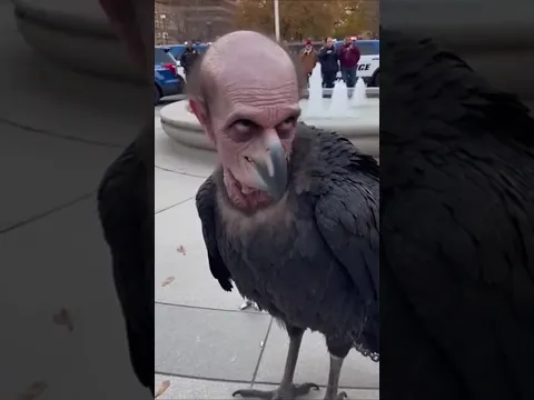 Los 5 cantos de aves más perturbadores del mundo🔥 #aves #misterio #shorts