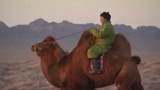 B.Khuukhenduu - The camel walking "Тэмээн жонжоо"