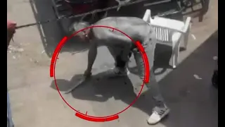 Sujetos se agarran a cuchillazos en pleno mercado por el cobro de cupos