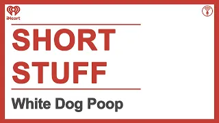 Short Stuff: White Dog Poop | STUFF YOU SHOULD KNOW