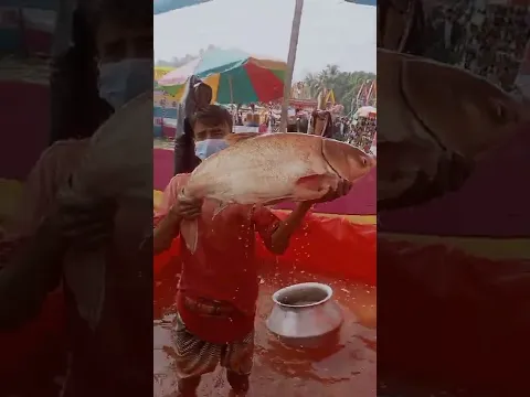 আল্লাহ যে কত মহান সৃষ্টি জগত তার প্রমান