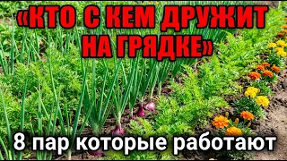 Посадите ЭТО рядом — и забудете про тлю, морковную муху и белянку навсегда