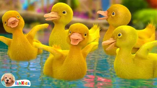 Five Little Ducks | Nursery Rhymes & Kids Songs | IshKids
