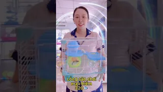 Combo chuột Hamster & vật dụng 500k cực chất LoHa Pet Shop