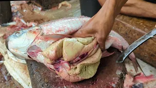 Fish Eggs Collections | Big Rohu Fish Cutting & Chopping By Expert Fish Cutter