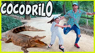 **NOS ATACA** un COCODRILO GIGANTE!! 😱