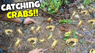 Catching Wild Crabs!!!!!