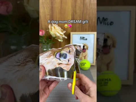 Wait for it 🥹 ❤️🐾 #pets #dogs #giftideas #dogloss #dogsoftiktok