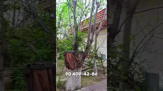 🔥ZAKAZLAR BOʻLSA KELOʻRASLA #reels #fargona #rek #rekkkkkk #shorts #reklam #trending 