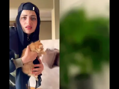 #axarpatel #duck #677 #duet #comedy #memes #اكسبلور #pets #like