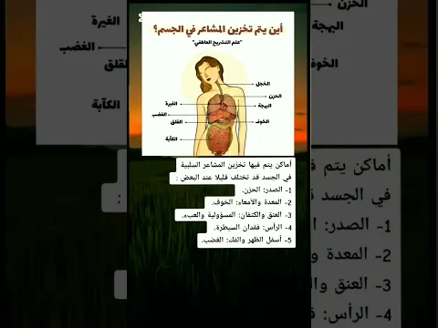 هل تعلم أين تستقر مشاعرك في الجسم تأثير المشاعر على أعضاء الجسم دليل مبسط ومفيد