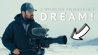 I built my DREAM Wildlife Filmmaking Camera Rig
