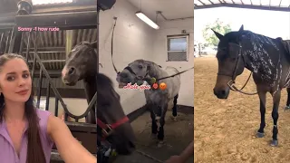 Horse Videos That Went Viral! #5