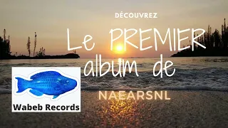 Naearsnl & la mafia musicale