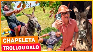GALO CEGO CAIU DE CHAPELETA EM TROLLAGEM DE MUÇÃO