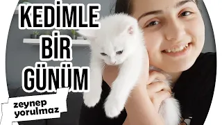 KEDİM İLE BİR GÜNLÜK RUTİNİM Zeynep Yorulmaz