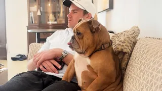 Best Funny & Cute Pet Video Compilation of 2026 SO FAR