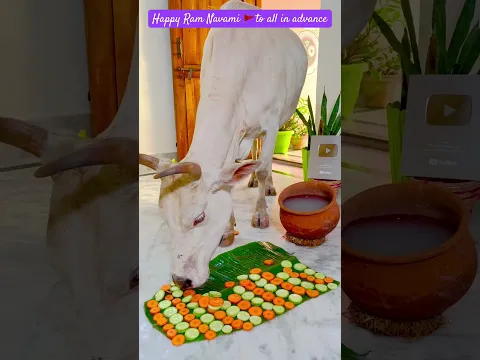 Happy Gaumata Happy Ram Navami 😍 #gaumata #gauseva