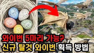 붉은사막, 1.10 신규 탈것 성체 와이번 얻는 방법 (알 5곳 위치 총정리)
