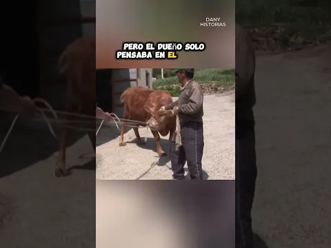 El reencuentro más emotivo entre un perro y su madre vaca #youtubeshorts