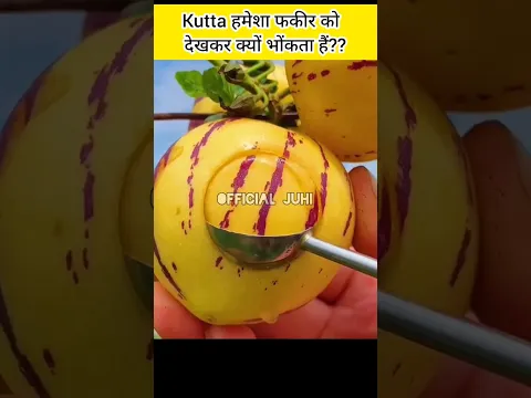 Kutta Fakir Par Kyu Bhonkta Hai #shorts #ytshorts #islamicvideo #officialjuhi