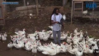 Miguel shuns office jobs, chooses farming