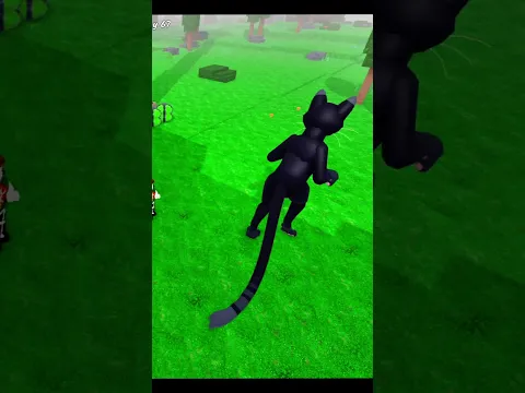 Cat Brings Food