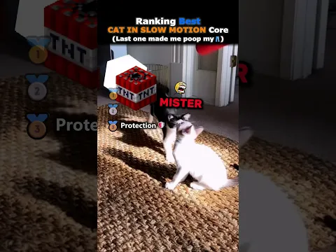 Ranking Funniest CAT IN SLOW MOTION Core Part.7 🐈‍⬛😨#usa