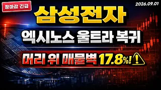 [삼성전자 주가전망] (장마감) 마이크론 추격 시작.. "eSSD 35%" 이 자리 지켜낼 수 있나? #삼성전자주가전망 #삼성전자전망 #삼성전자