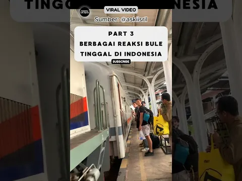 Reaksi Bule Tinggal Di Indonesia, Pohon Besar Bikin Kesurupan⁉️ #reaksibule #shorts #viralvideo