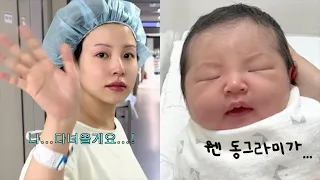 VLOG 드디어 출산하고 왔어요 👶🏻 아직도 생생한 설렘과 아픔 그리고 너무 보고 싶었던 우리 딸 누니. 평생 잊을 수 없는 순간들의 연속 ･･♥︎
