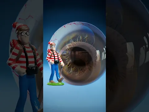 Fly Eye vs Squid Eye
