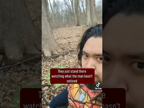 What's Hiding Behind The Trees...