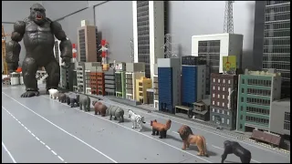10마리 동물, 거대 고릴라를 피해 지나가기 10 animals, avoid the giant gorilla