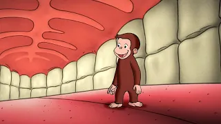 ジョージ、人体について学ぶ 🐵 おさるのジョージ