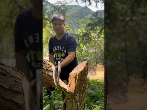 world's unique tree cutting skill