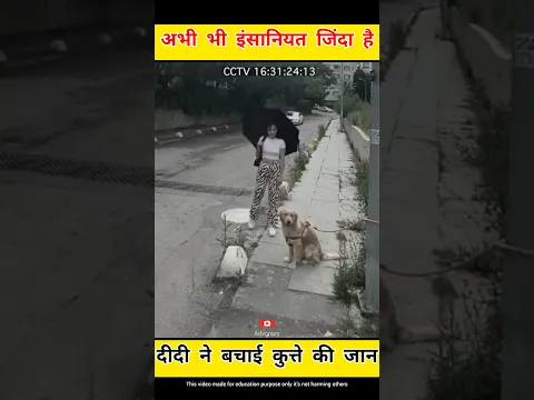 दीदी ने बचाई कुत्ते की जान💖 #humanity #shorts