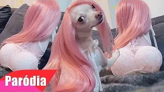 VIDEOS ENGRAÇADOS DE ANIMAIS - TENTE NÃO RIR (COMPLETO COMPILADO) | PARÓDIA