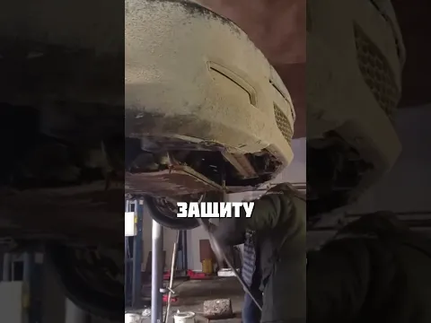 ПРИРОДНАЯ ЗАЩИТА ДВИГАТЕЛЯ