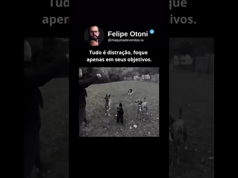 Tudo é distração, foque apenas em seus objetivos.