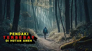 MENEGANGKAN ‼️ BERTAHAN HIDUP DI JALUR PINTAS