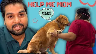 PeaNut Table se kyu nahi utar pa raha | The PeaNut Vlogs