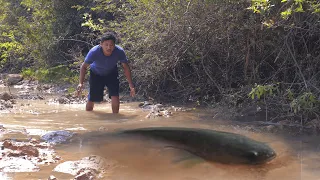 Huge Fish Catch and Cook - Best Village Cooking
