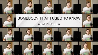 Gotye - Somebody That I Used To Know (ACAPELLA)