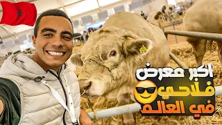مصري يندهش من المعرض الدولي للفلاحة | نظرتي اتغيرت عن المغرب🇲🇦